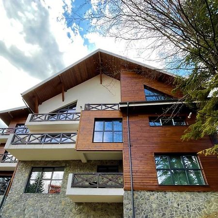 Ama Apartament - Cota 1000 Sinaia Exterior foto